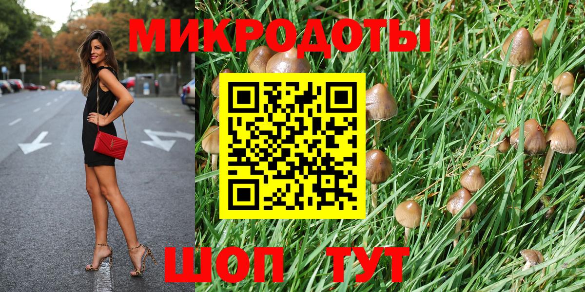 Трёхгорный  Галлюциногенные грибы Psilocybine cubensis  Вход с VPN 